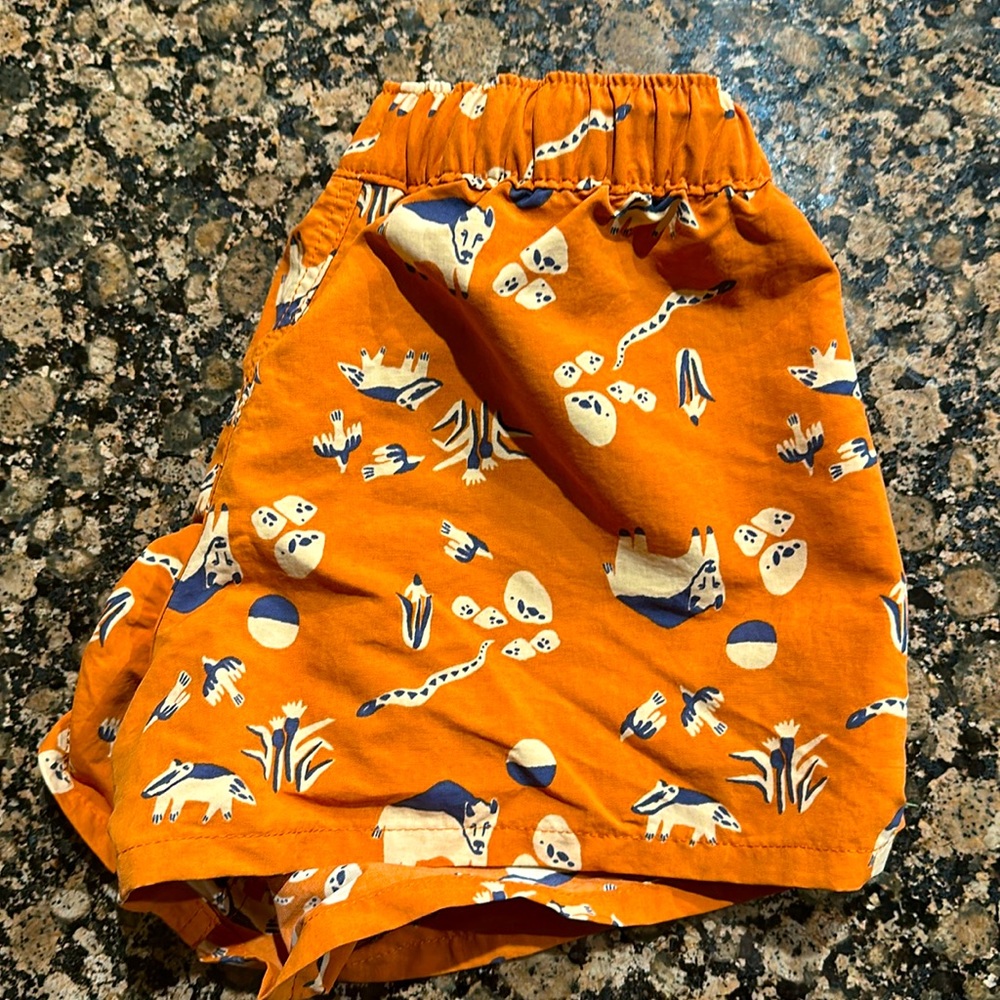 Patagonia Women’s Barely Baggie Shorts XS - Homeward Bound print